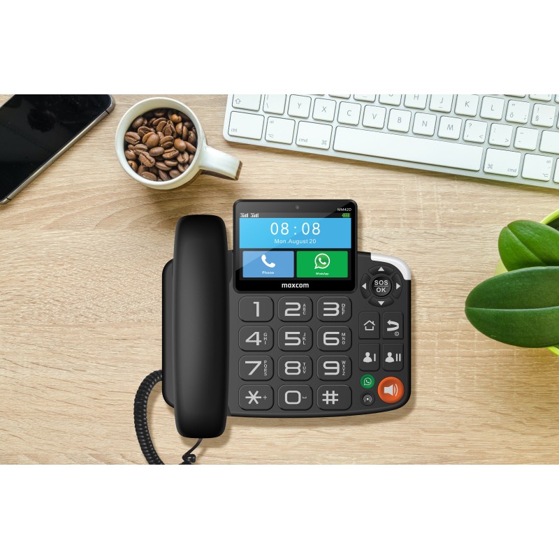 Home Office Google - Telefono Fisso Wireless Android LTE 4G
