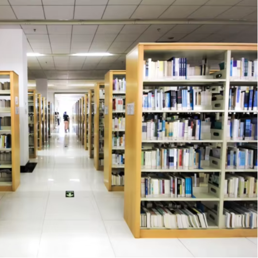 Scaffali per libri bifacciali  - Home Office With Library recensione e prezzo